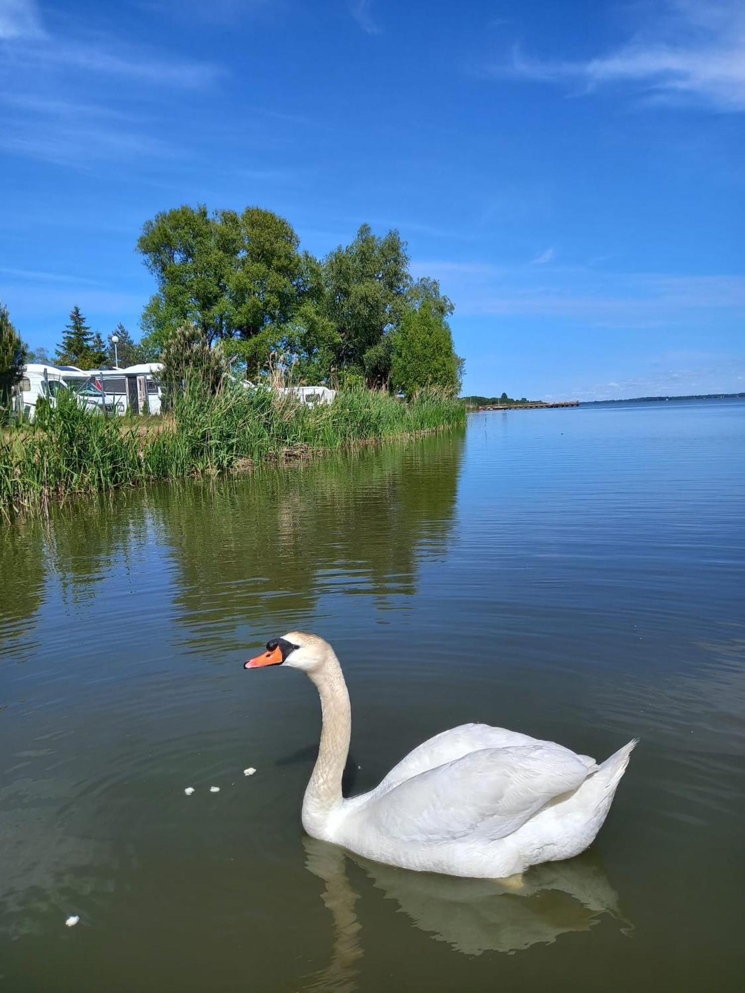 Houseboat Arka 1 - Domki Na Wodzie, Rower Wodny, Wifi, Parking Мєлно Екстер'єр фото